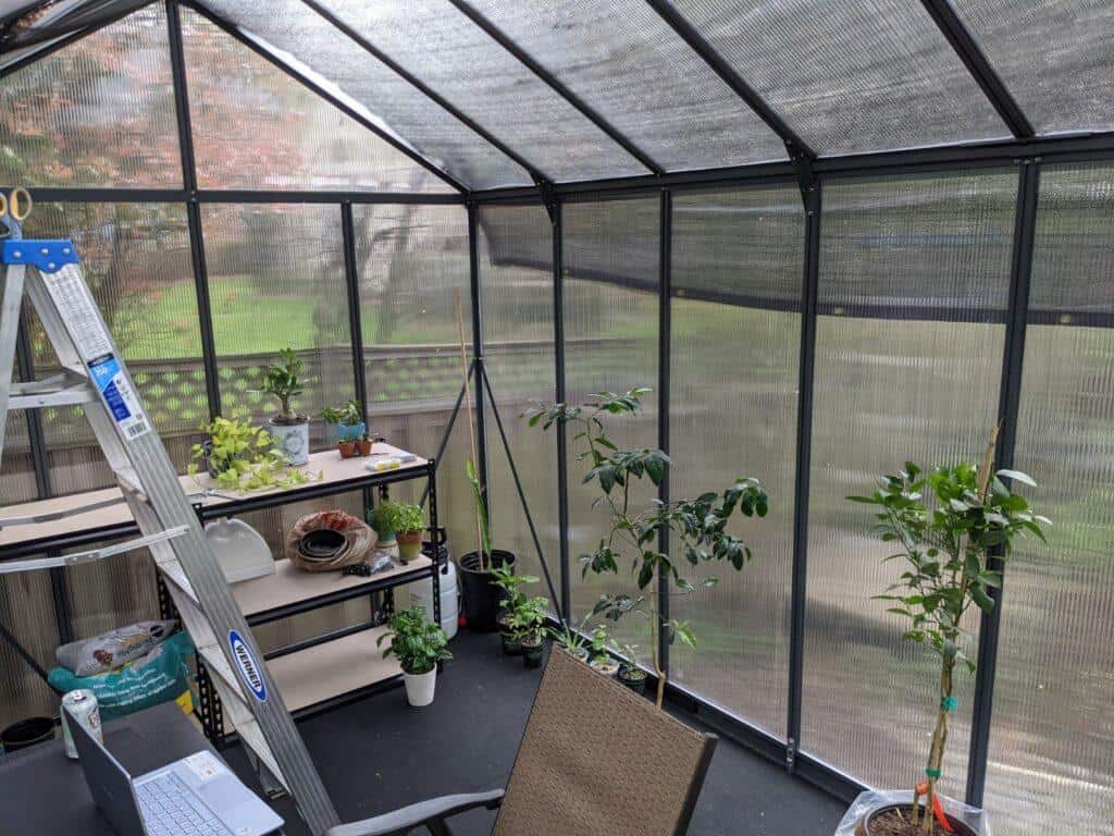 inside of palram canopia greenhouse