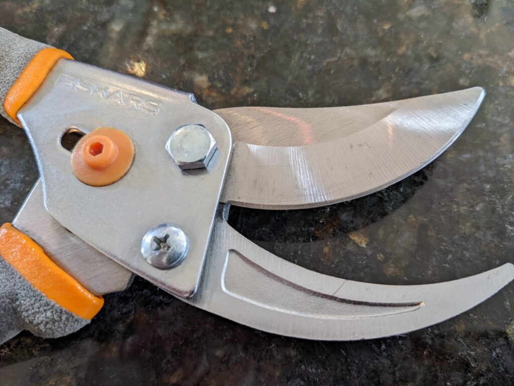 clean pruning shears