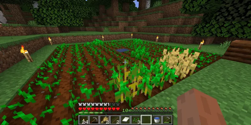 Minecraft: How to Grow Wheat Faster | StoreParrot