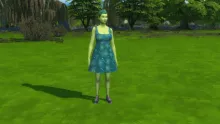 Sims 4 Guide to Plant Sims